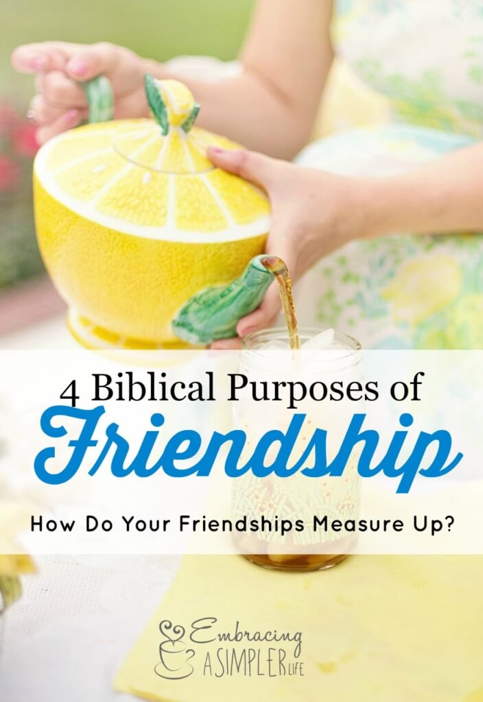 4 Biblical Purposes Of Friendship How Do Yours Measure Up Embracing